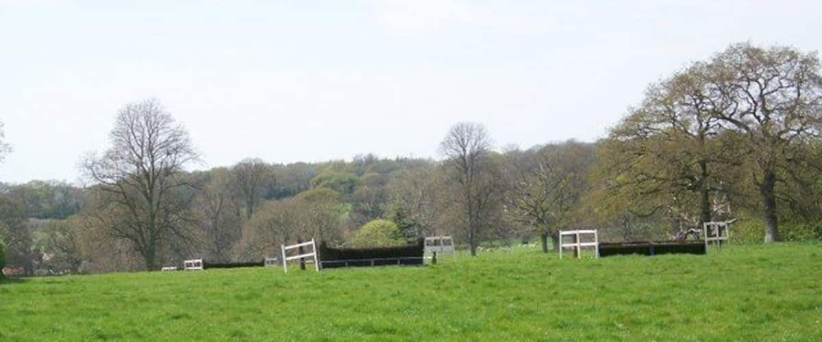 A green field with a white fence and trees in the background.