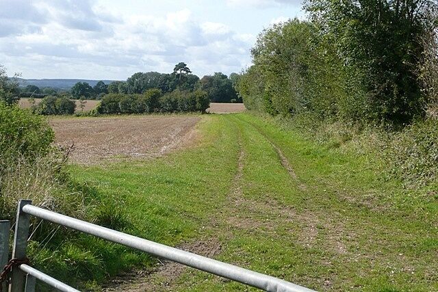 Towards Cathanger Wood This is an arable field off the Tangley Road, looking south-west towards Cathanger Wood in the west of the square.