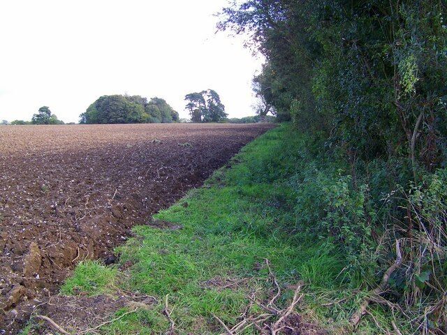 Headland, Wiltshire Gate The footpath runs along the headland.