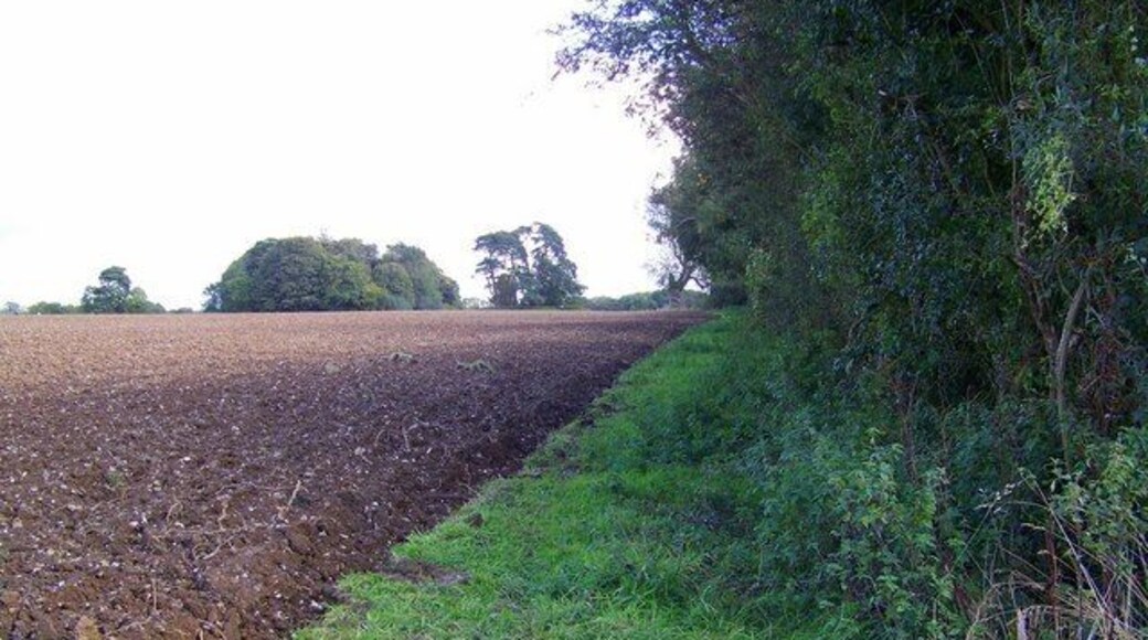 Headland, Wiltshire Gate The footpath runs along the headland.