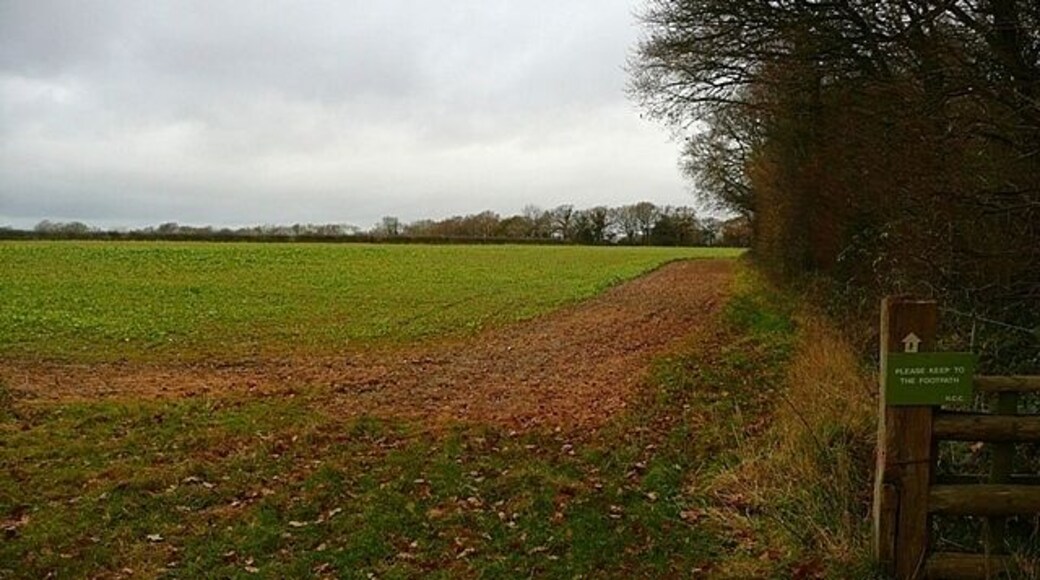 Footpath to Blagden Copse From a minor road this footpath heads east along a field boundary, towards Blagden Copse in the distance.