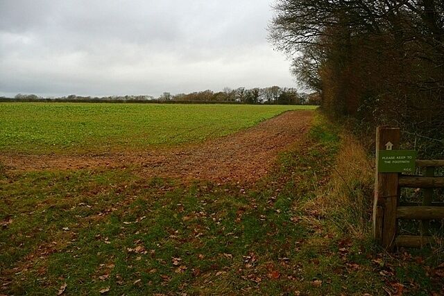 A rural path leading through a field with a signpost on the right.