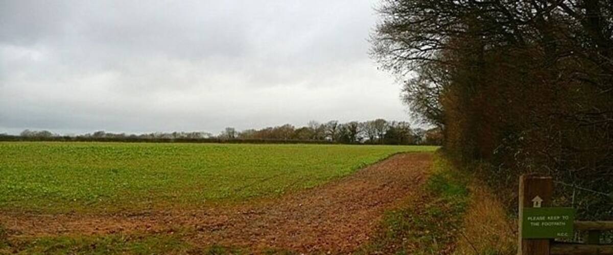 A rural path leading through a field with a signpost on the right.