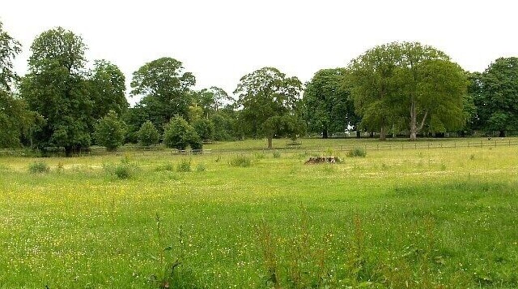 Quarley Park Looking towards the church which is hidden by the trees.