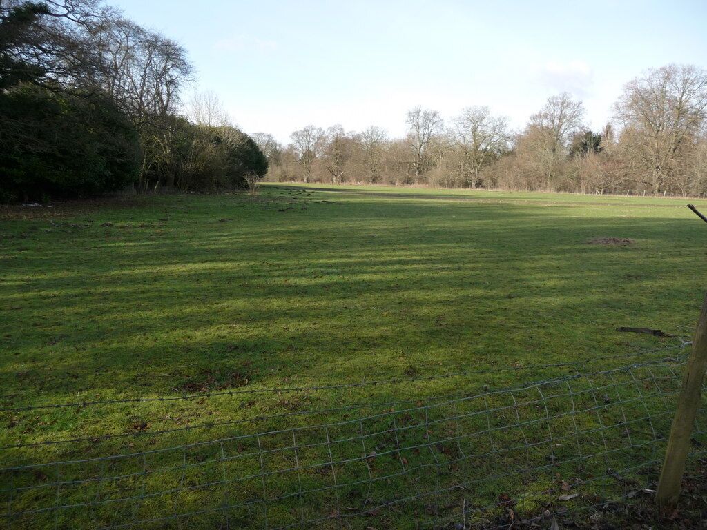 Cholderton - Field Pasture to the side of the footpath.