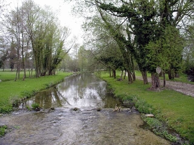 A calm river with trees on both sides.
