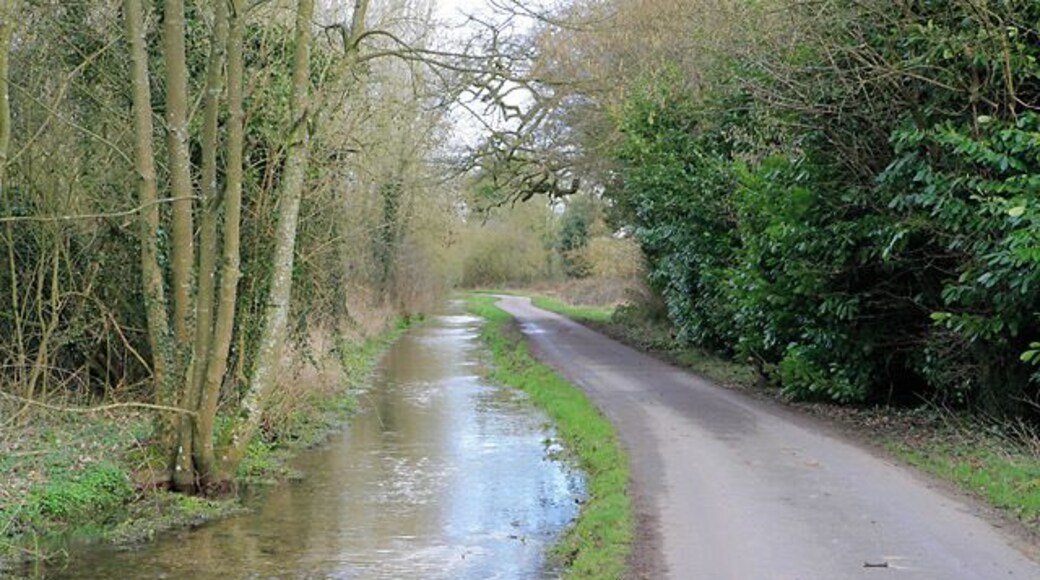 Road and water course east of Upper Mill, Longparish This is the water course that is fed by 344410.