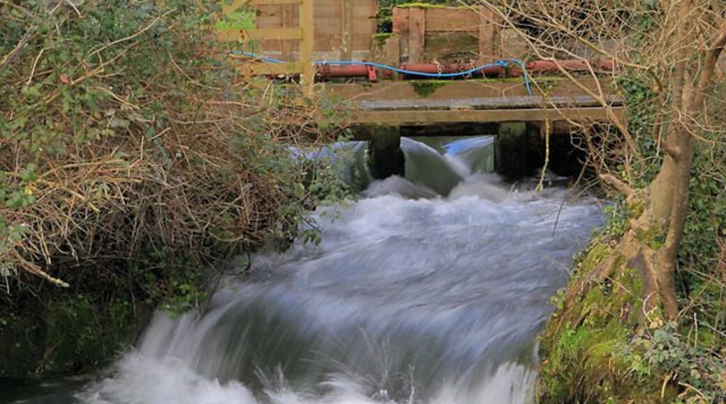 Sluice upstream of the weir at Upper Mill, Longparish These allow water from the main river (behind the gates) to flow into a channel at lower level in the foreground.