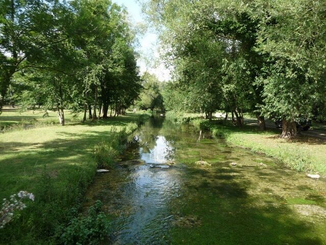 A calm river with lush greenery and trees on both sides.
