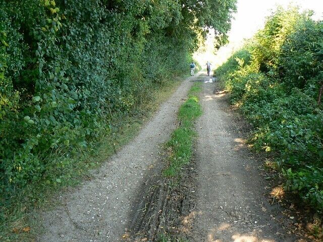 Looking north along a track west of Littledown The track is an 'other route with public access' according to the maps. It is ideal for a gentle stroll in the countryside even if older members of the party tend to get left behind by the younger and fitter ones.