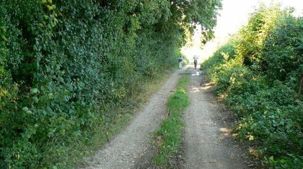 Looking north along a track west of Littledown The track is an 'other route with public access' according to the maps. It is ideal for a gentle stroll in the countryside even if older members of the party tend to get left behind by the younger and fitter ones.