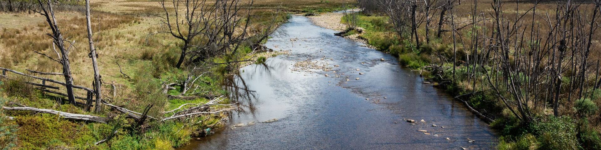 View over Howqua River in Victoria, Australia.