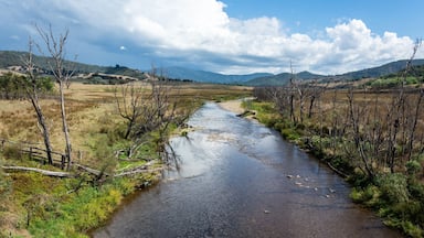 View over Howqua River in Victoria, Australia.