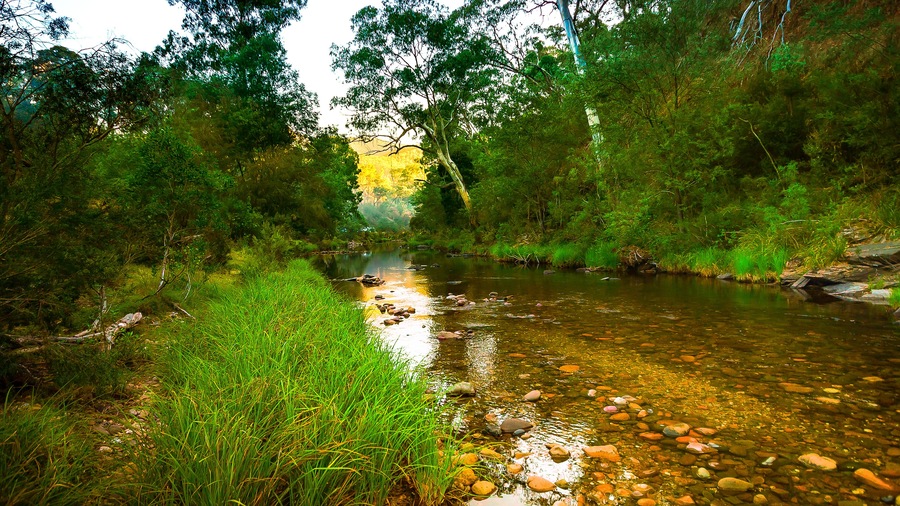 Granny's Flat campground, Jamieson Victoria, Australia, Shutterstock ID 1141421807, Purchase Order: -
