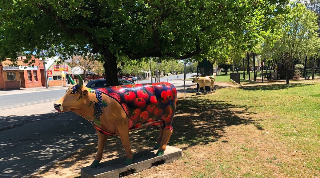 A couple of special cows. There are a lot more in various towns in an around Shepparton Victoria Australia.