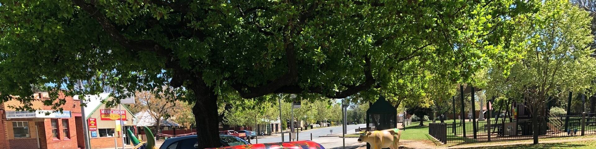 A couple of special cows. There are a lot more in various towns in an around Shepparton Victoria Australia.
