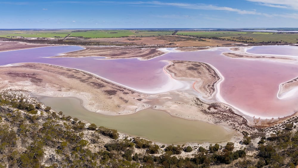 Aerial panoramic view of a large pink salt lake located next to highway 40 in the wheatbelt region of Western Australia