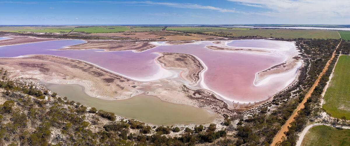 A large salt flat with pink and white salt deposits, surrounded by green fields and sparse vegetation.