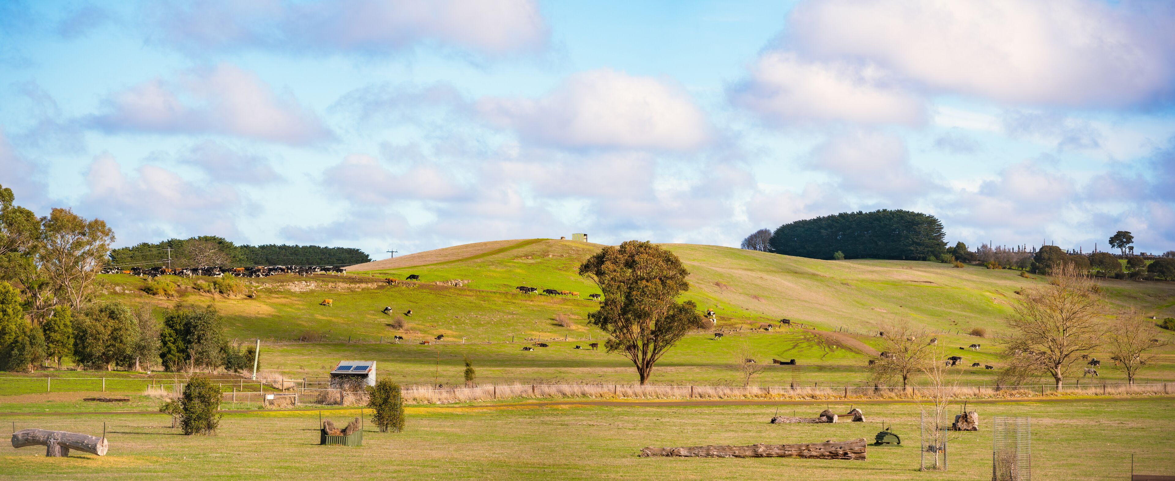 Scenic view of the dairy farm on a hill on a sunny day, Terang, Victoria, Australia