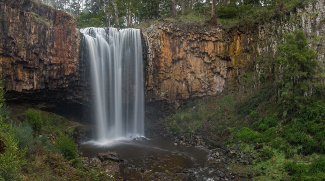 Trentham Falls after a good rain.