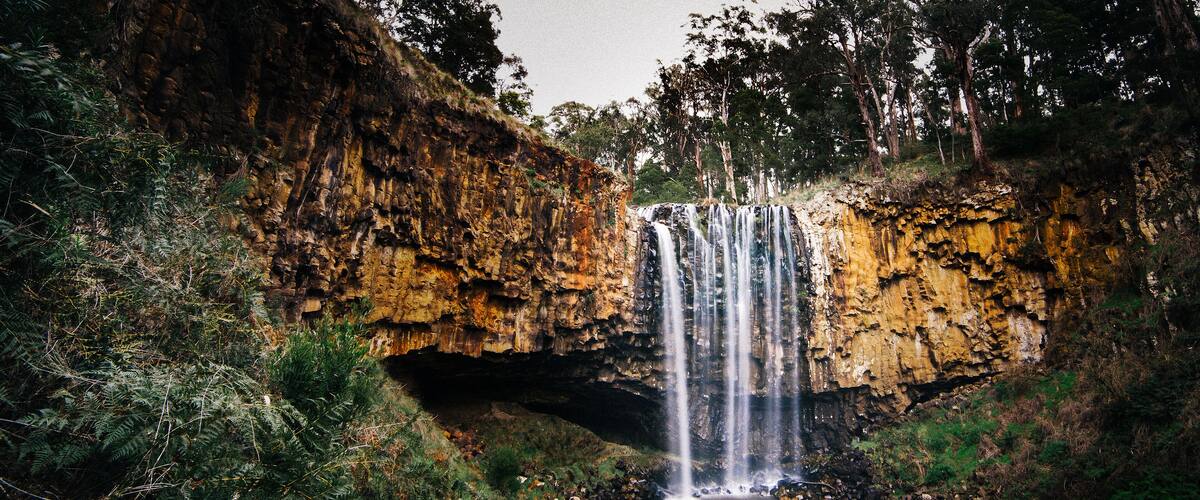 A waterfall cascading down a rocky cliff into a pool surrounded by dense forest.