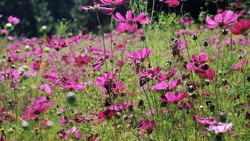 Bi-ways and hi-ways of Tennessee