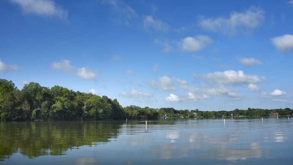 Un lac paisible, bordé d’une forêt, sous un ciel bleu et dégagé.