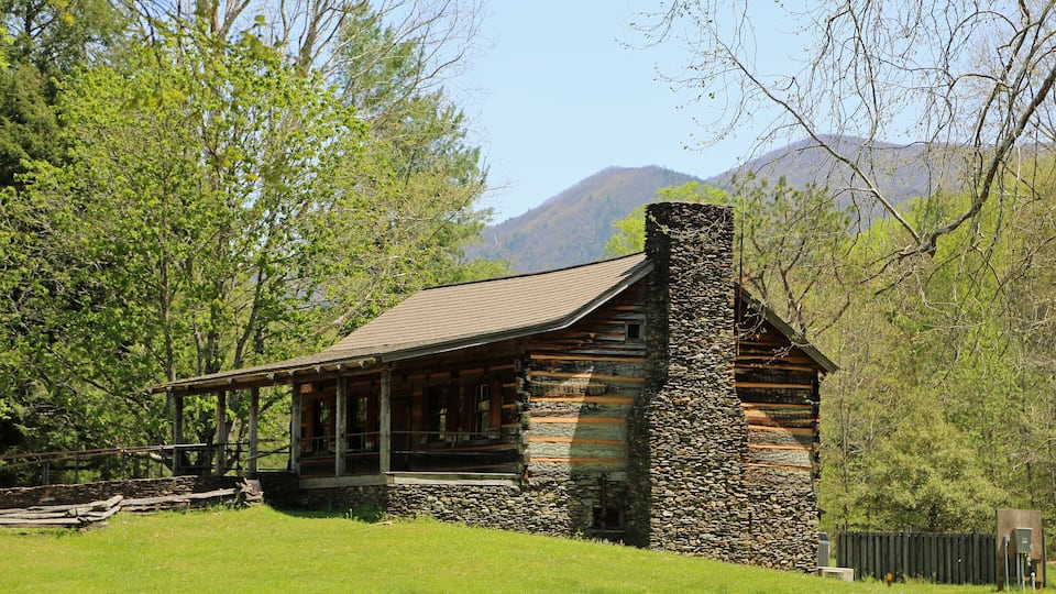 A rustic log cabin with a stone chimney, surrounded by lush greenery and a mountain in the background.