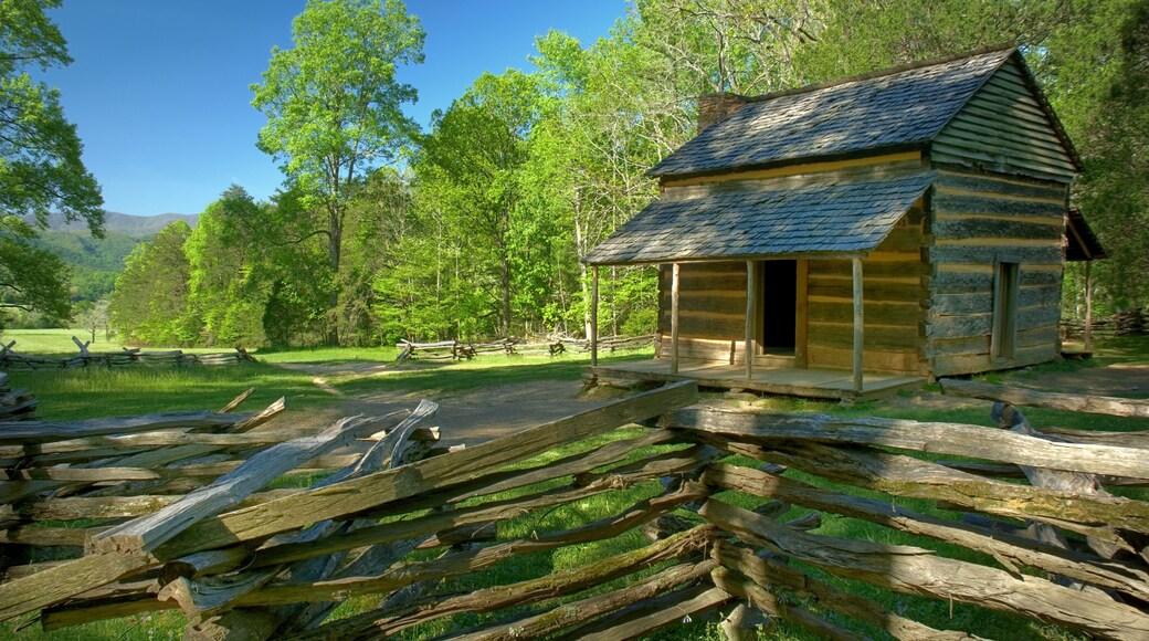 John Oliver's Cabin in Cades Cove of Great Smoky Mountains National Park