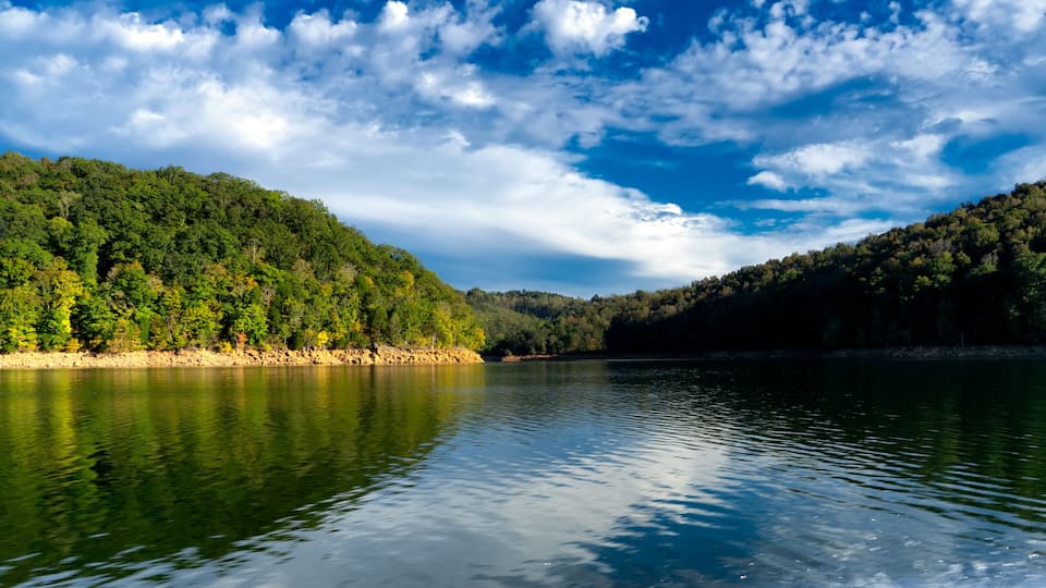 A calm lake surrounded by dense forest and a clear sky.