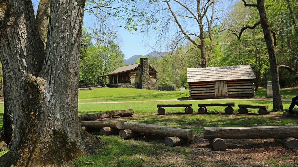 A rustic log cabin surrounded by a grassy area with benches and a large tree.