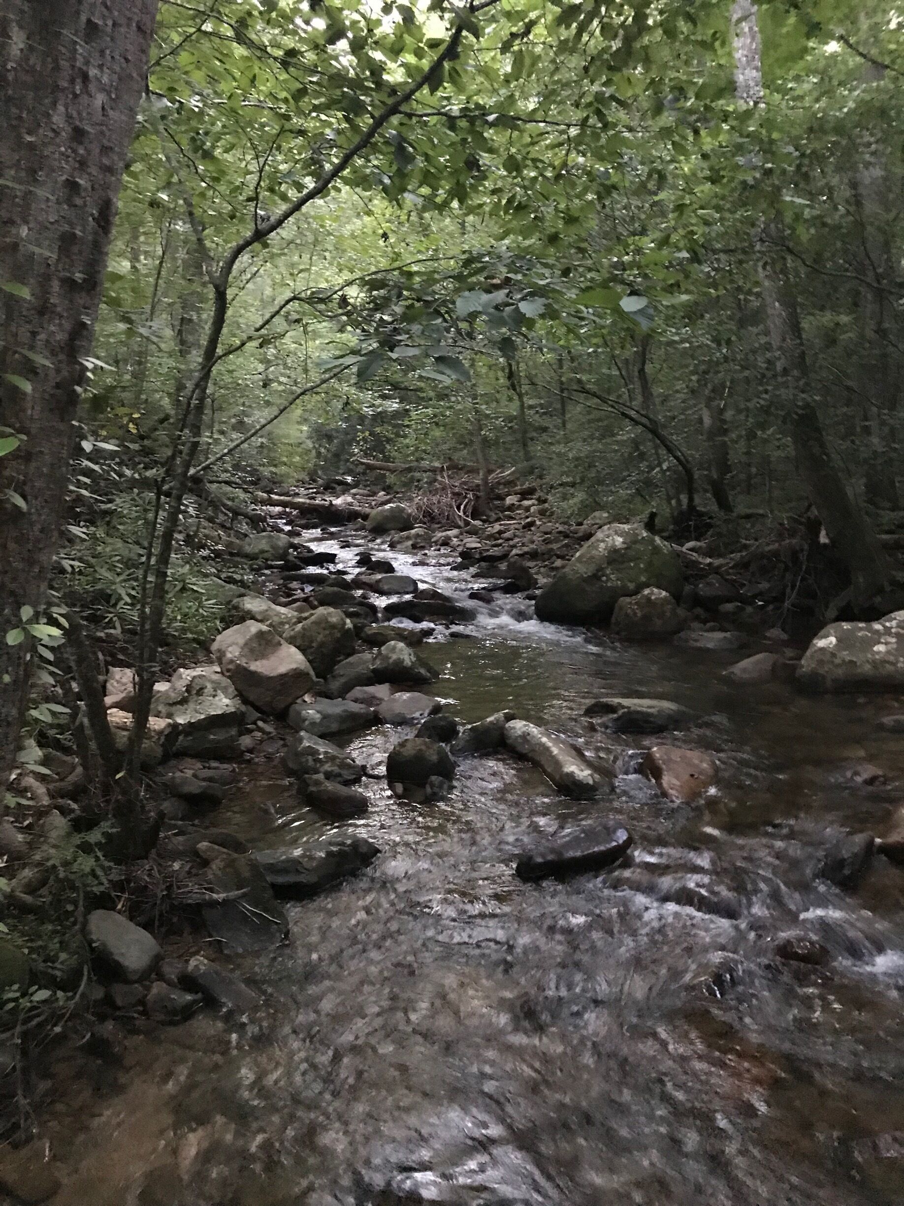 Greasy Creek