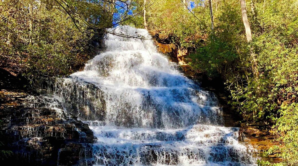 1.5 trail one way. Easy hike. Great waterfall!