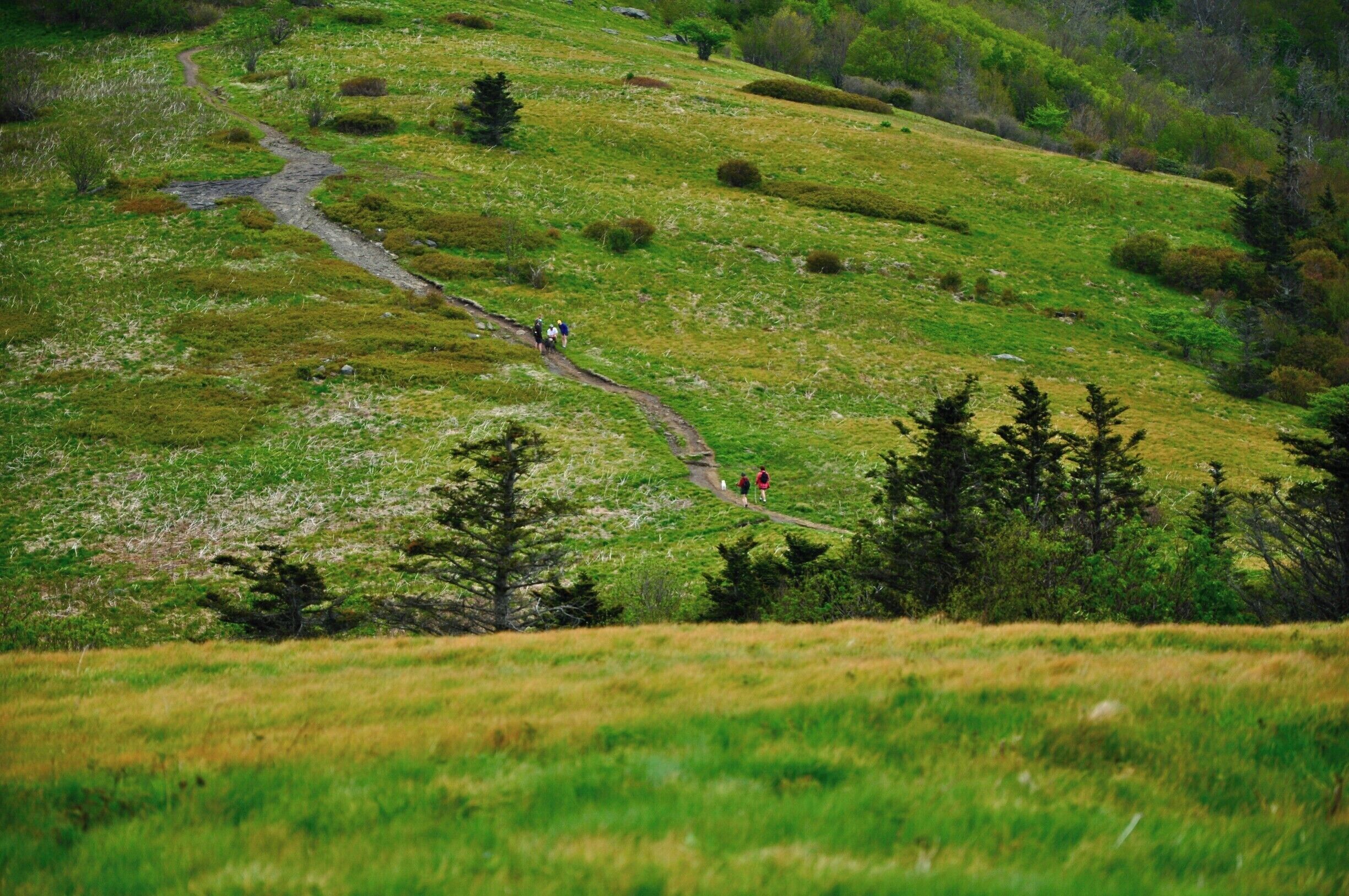 A favorite trail any time of year.