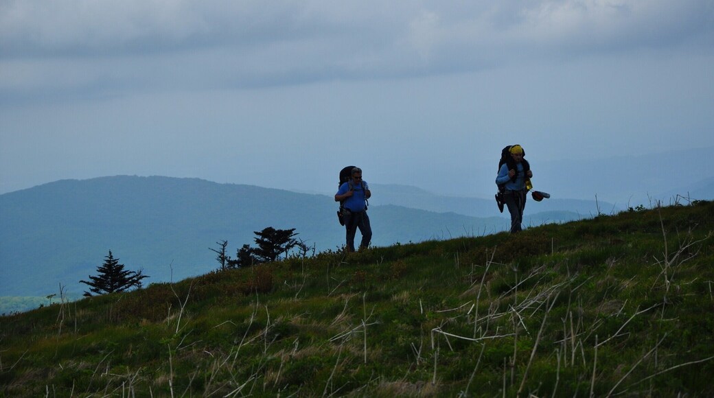 Hiking the Appalachian Trail.