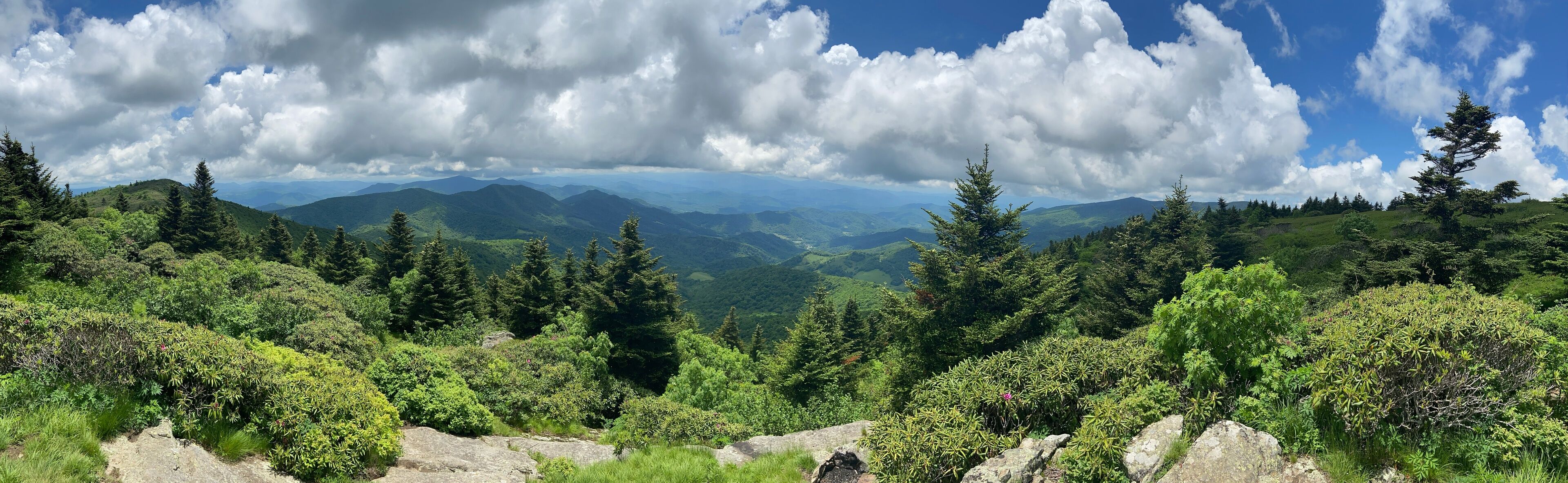 Carver's Gap - Roan Mountain, TN