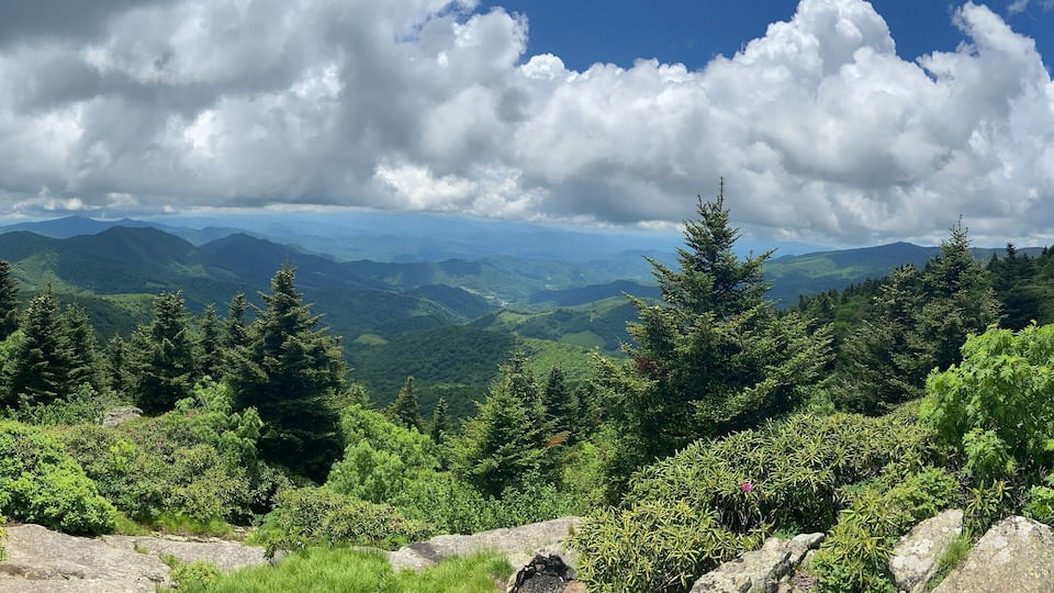 A mountainous landscape with dense forests and rocky outcrops.