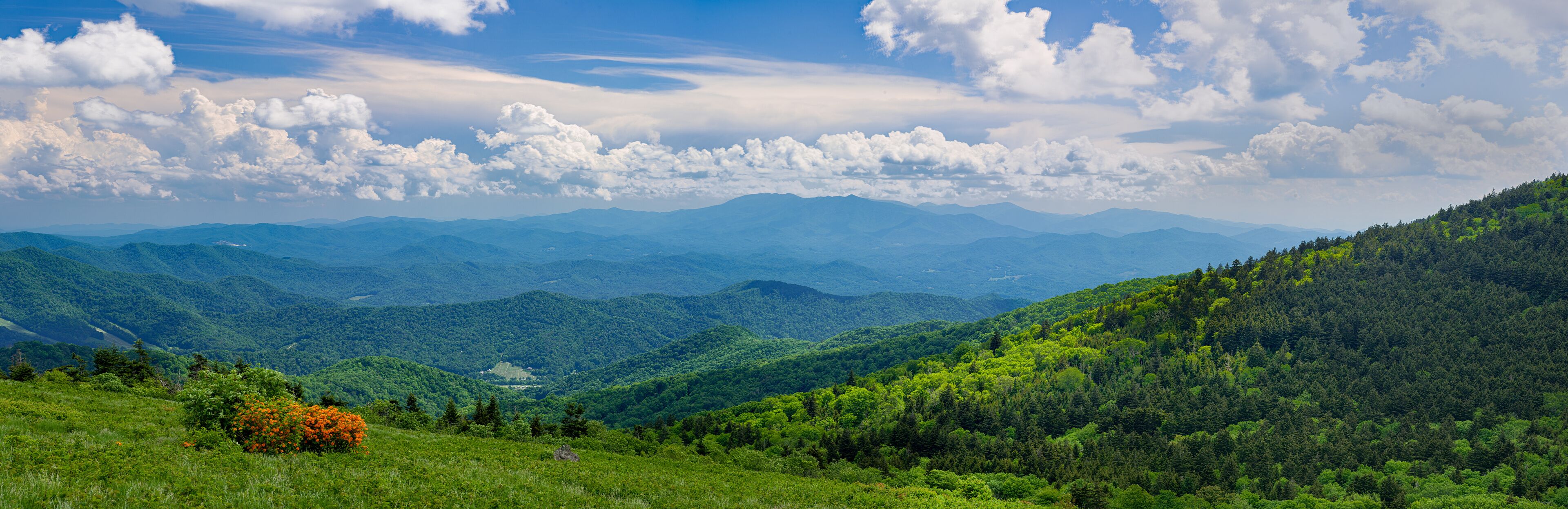 Roan Mountain