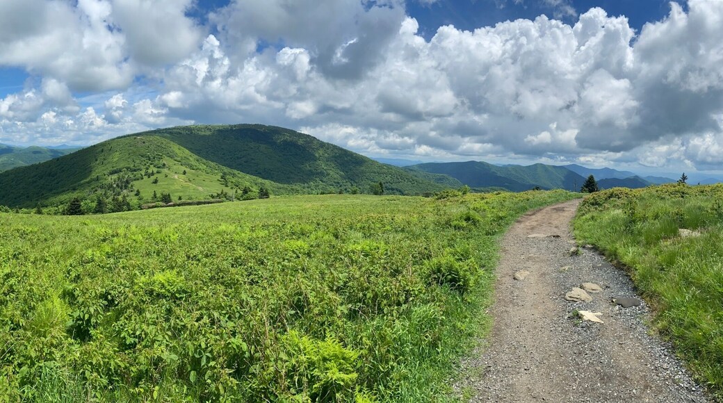 Hike - Roan Mountain, TN/NC