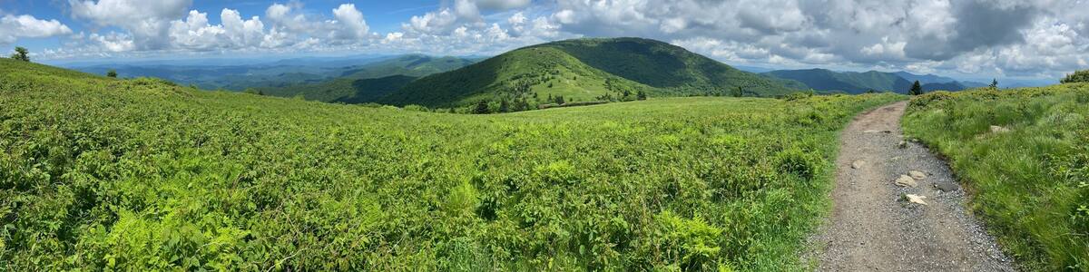 Hike - Roan Mountain, TN/NC
