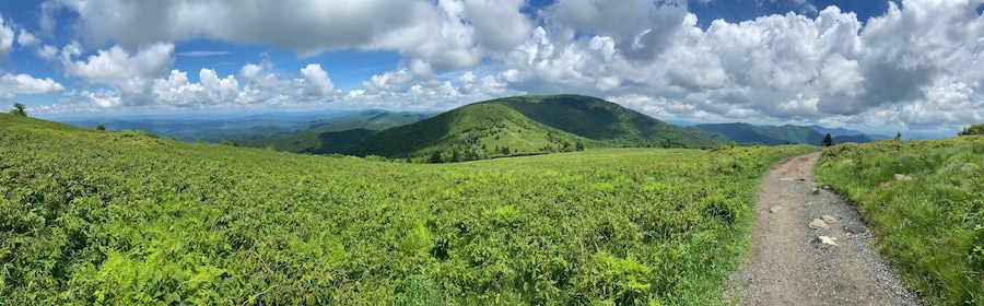 Hike - Roan Mountain, TN/NC