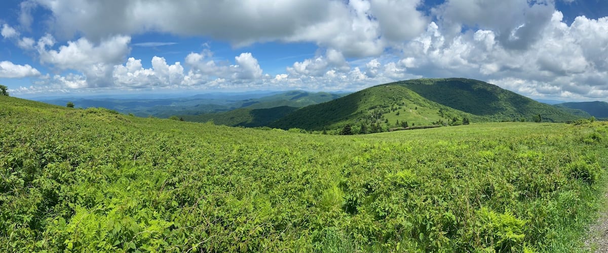Hike - Roan Mountain, TN/NC