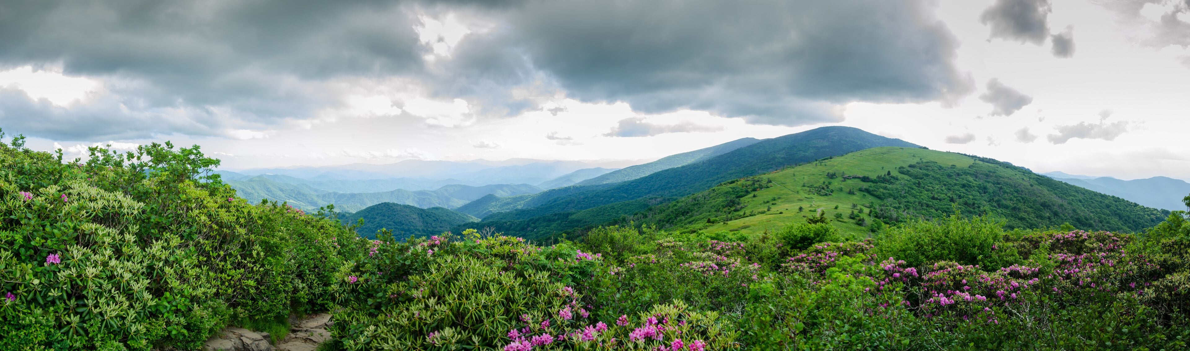 Panorama of Round Bald As Seen from Jane Bald