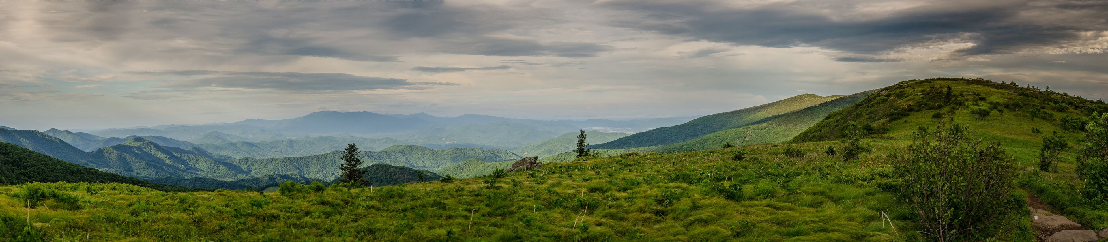 Roan Mountain