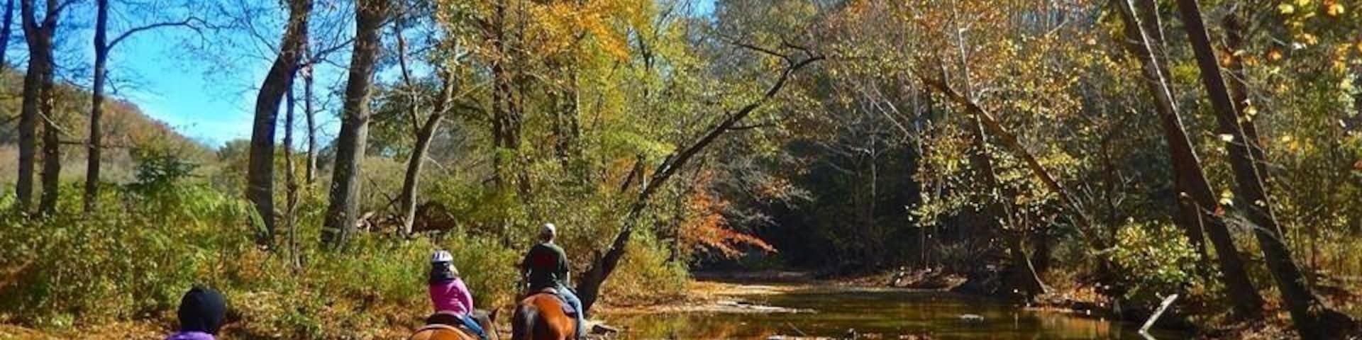 Great place in TN to go horseback riding.