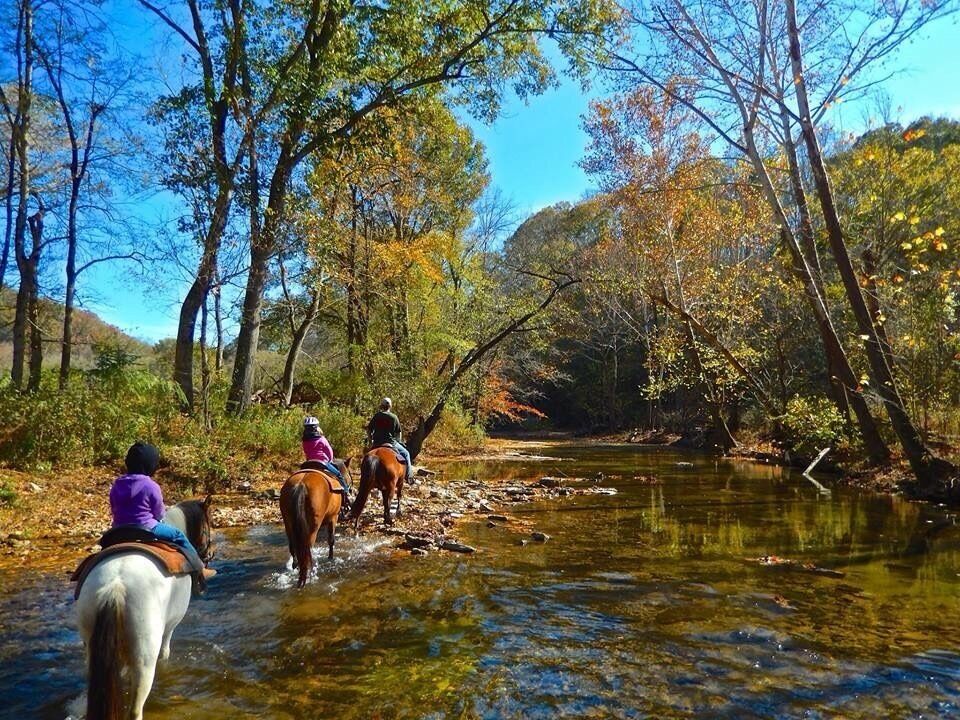 Two people riding horses along a river surrounded by autumn-colored trees.