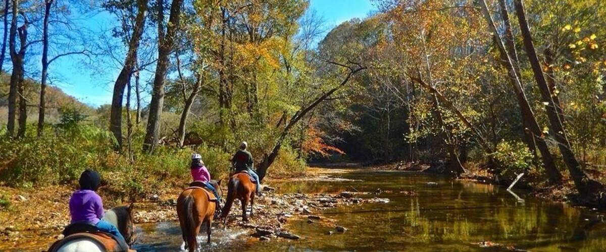 Two people riding horses along a river surrounded by autumn-colored trees.
