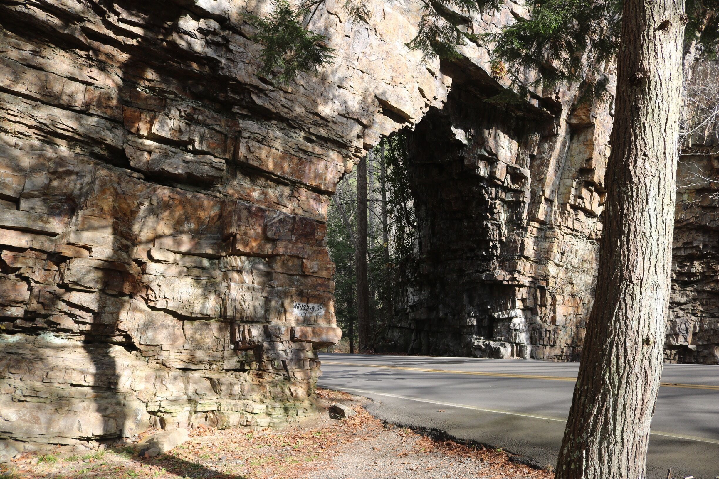 Follow route 133 south out of Demascus, Virginia. 