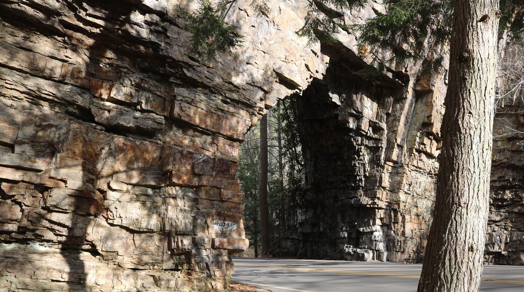 Follow route 133 south out of Demascus, Virginia.