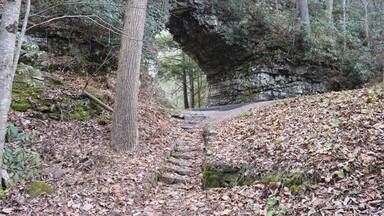 I've been told this is the shortest tunnel in the world. Located on Tennessee State route 133 approximately 2-3 miles from the Virginia-Tennessee state line.